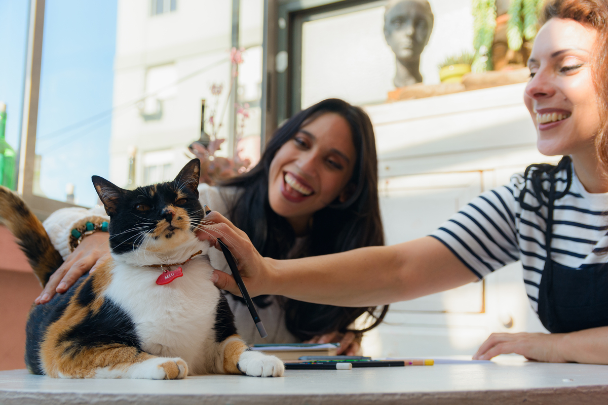 vacinação para pets
