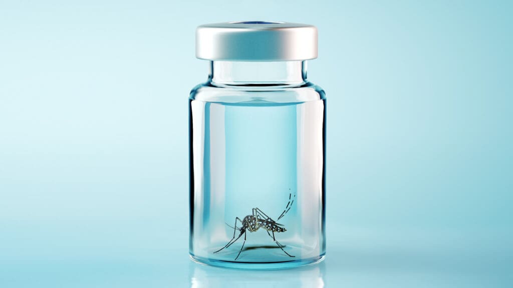 mosquito da dengue